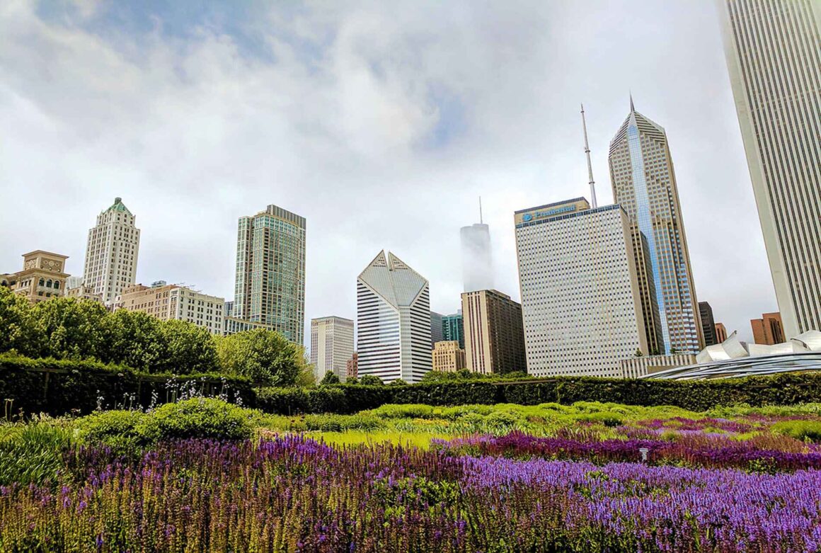 Spring flowers in Millennium Park