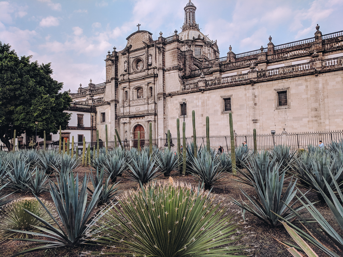 The Cathedral in Mexico City