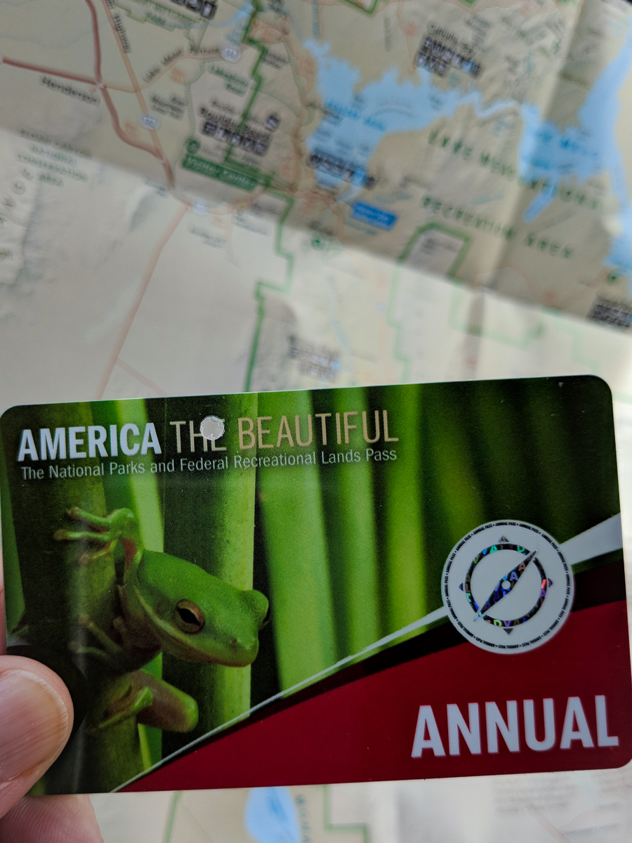 The 2018 America the Beautiful Park Pass with a frog on the front of it