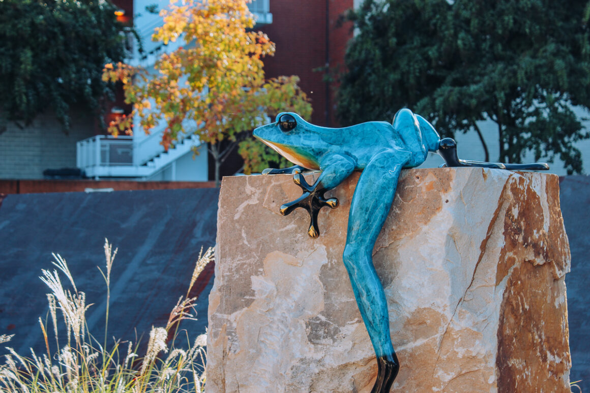 A frog sculpture along the Arkansas River in the Vogel Schwartz Sculpture park Little Rock