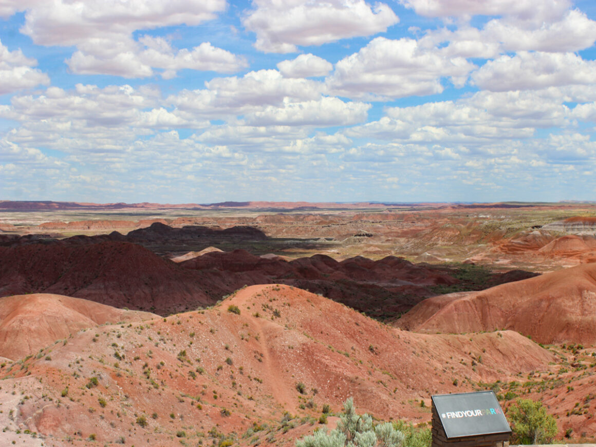 the red hills of Petrified National Park