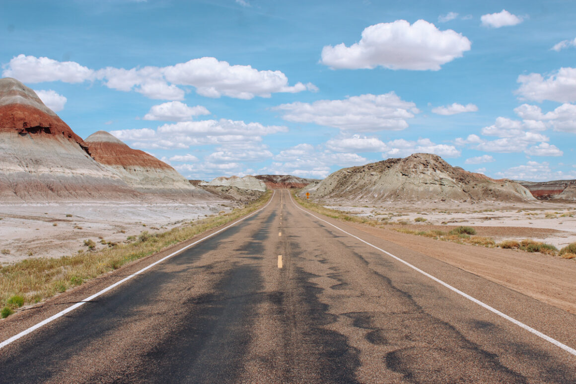a road through the geological features at Petrified Forest National Park