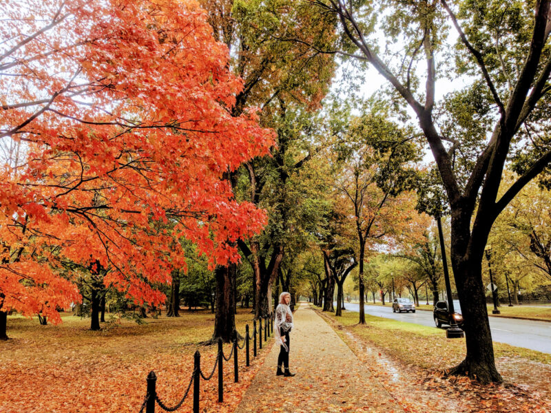 13 Best USA Cities to Visit in Fall