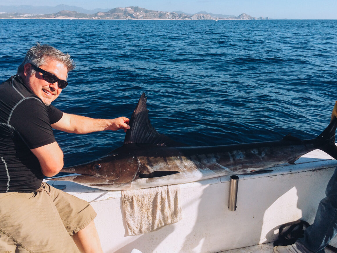 a marlin caught on a deep sea a marlin caught on a deep sea fishing trip one of the things to do in Cabo San Lucas trip one of the things to do in Cabo San Lucas