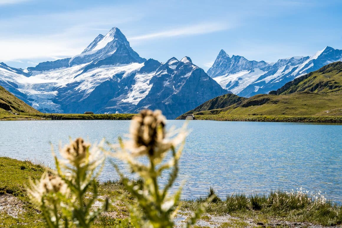 mountains and a lake - Bachalpsee in Switzerland