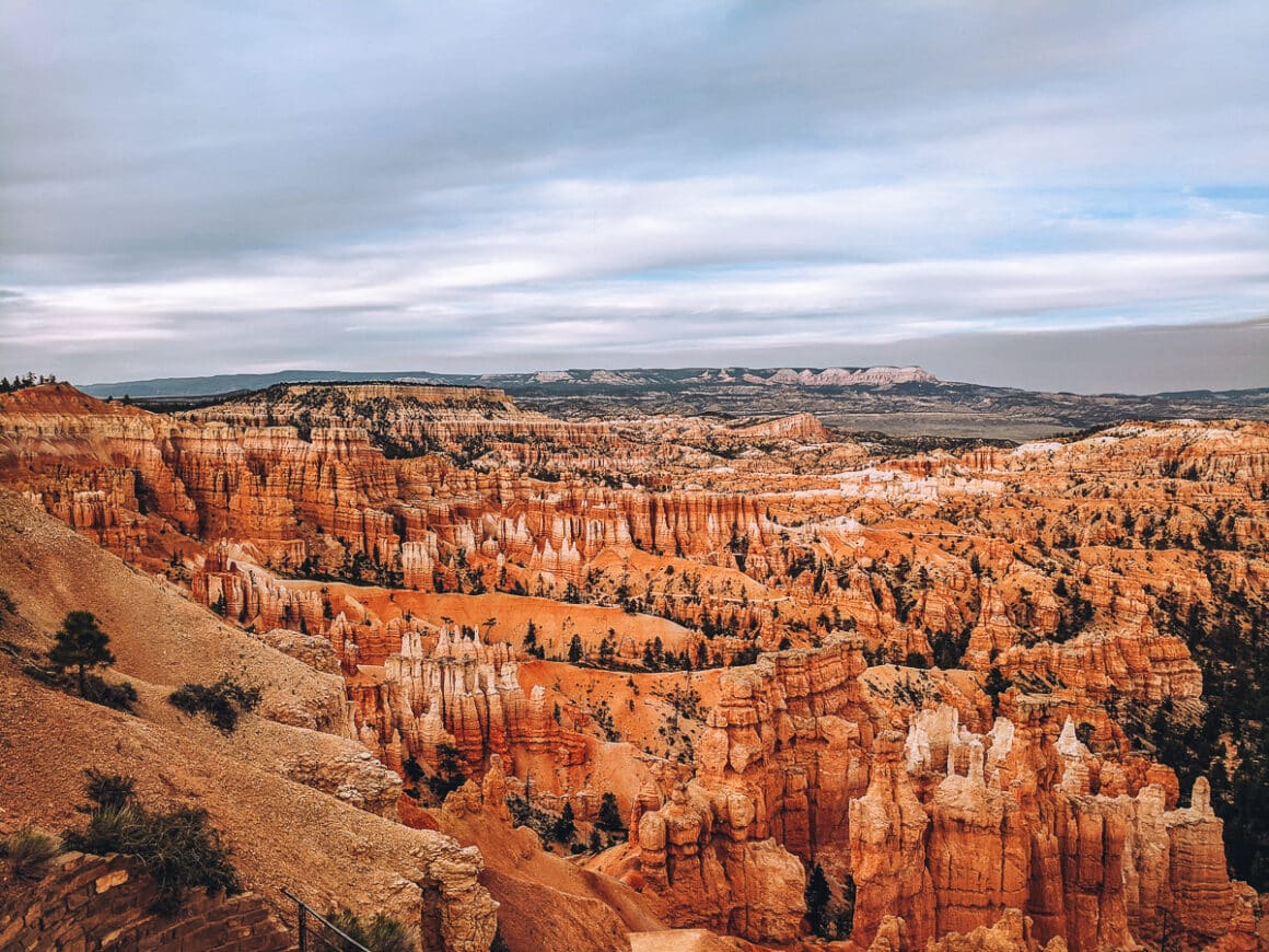 a view of the hoodoos in Bryce Canyon National Park