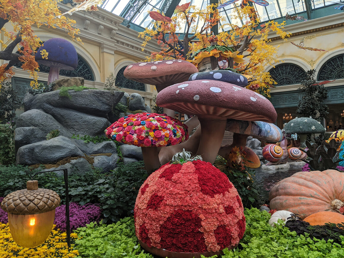 The Bellagio Conservatory in fall