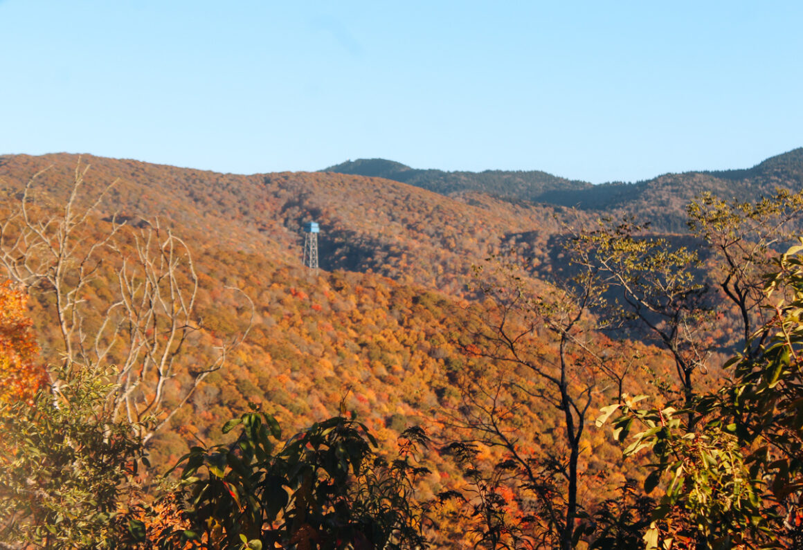 a fire tower on the Blue Ridge Parkway in fall