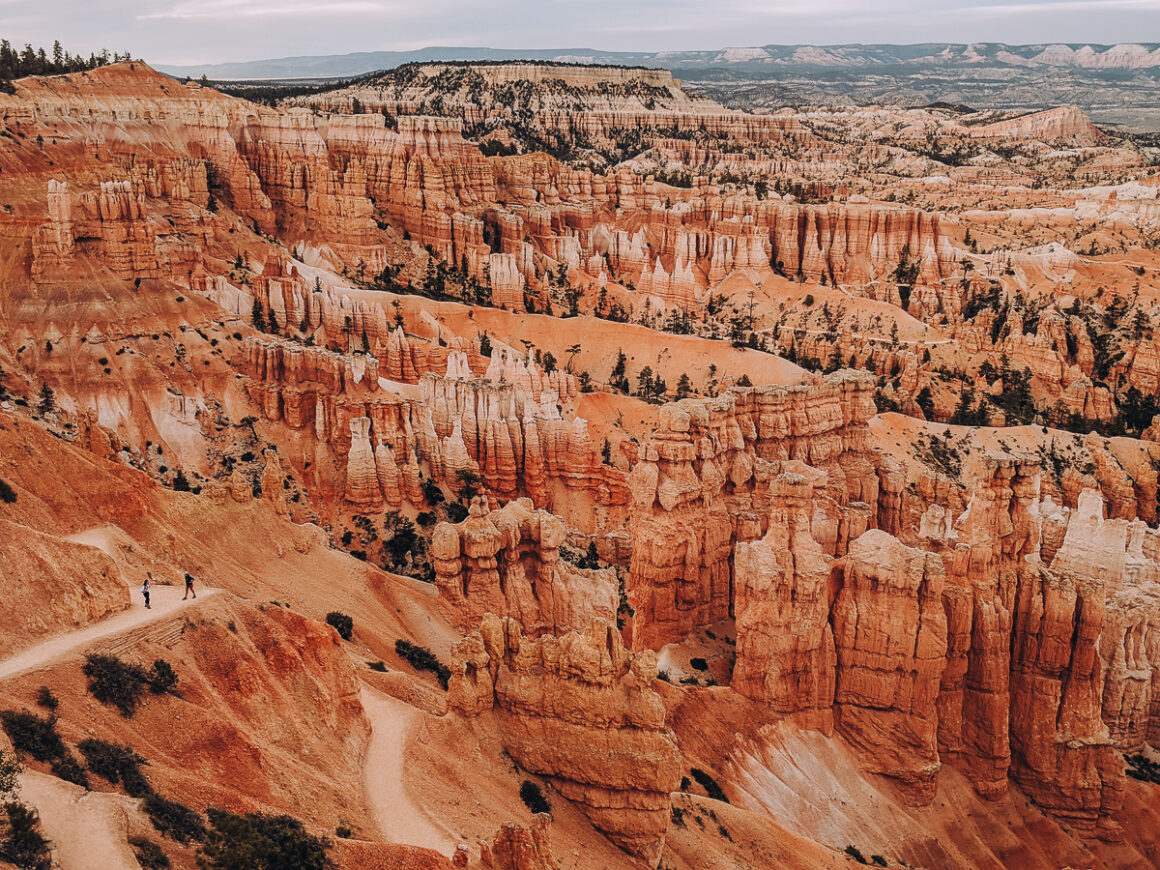 The orange colors of Bryce Canyon National Park one of the best road trips from Las Vegas to national parks