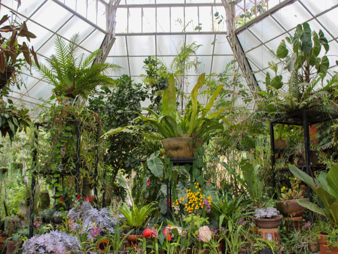 The greenhouse at Vallarta Botanical Gardens
