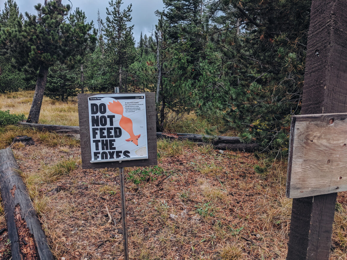 a warning sign to not feed the wildlife in a national park