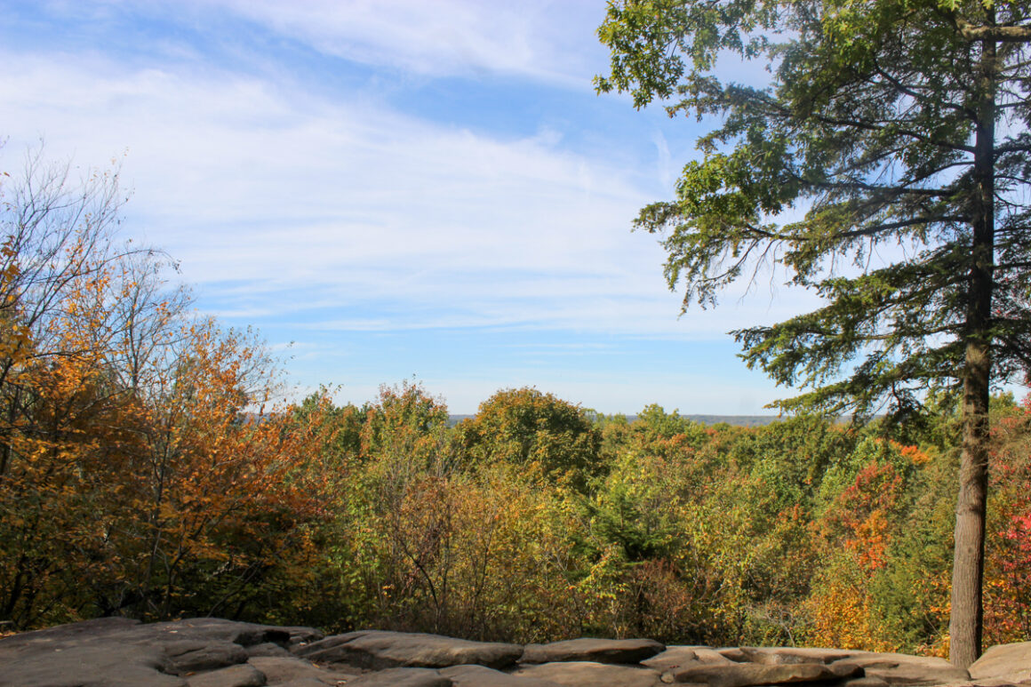 Fall colors of red and gold trees at Cuyahoga Valley National Park