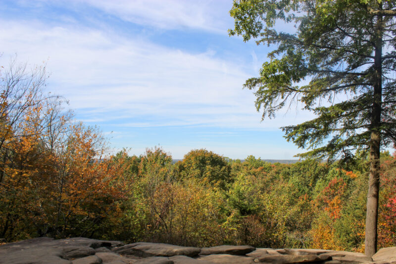 Fall colors of red and gold trees at Cuyahoga Valley National Park