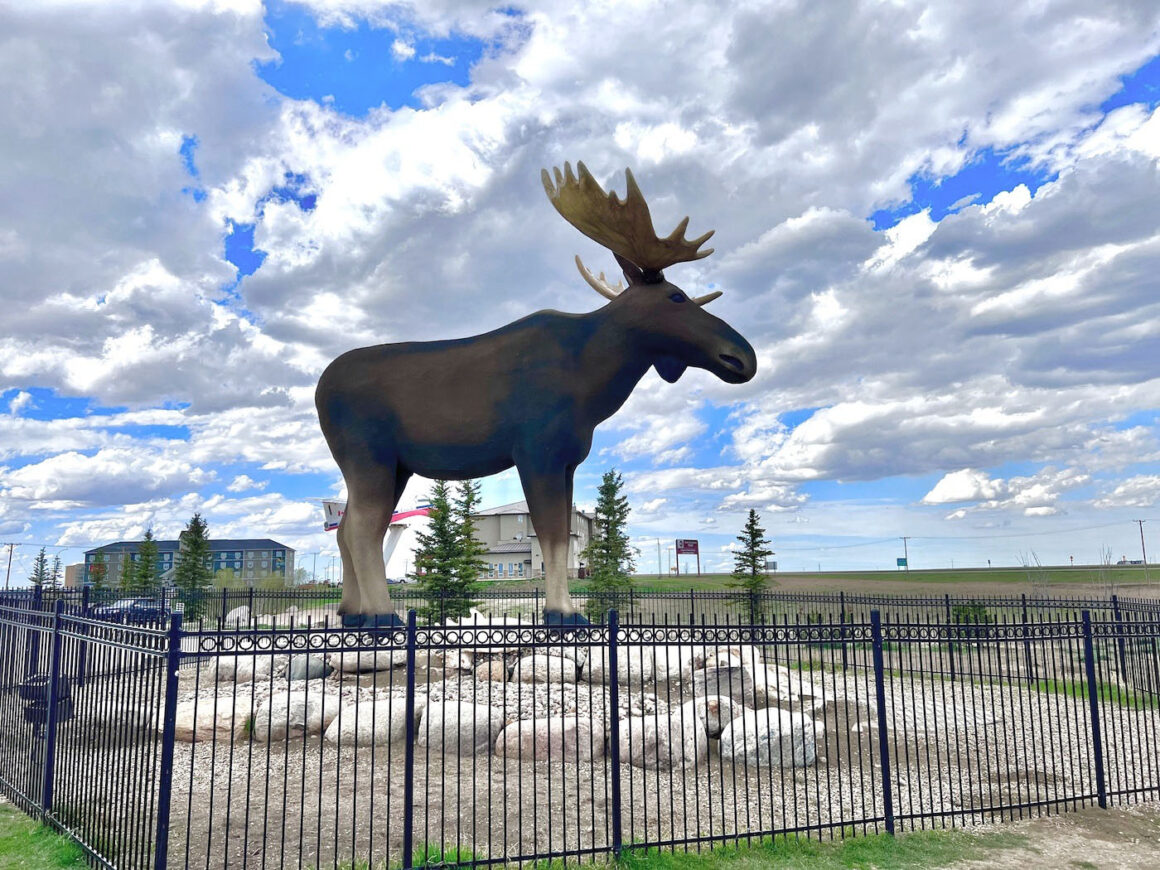 Mac the Moose, a statue in Moose Jaw