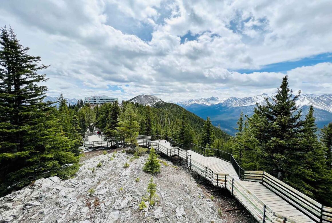 the views from Sulphur Mountain near Banff 