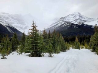 Saw Mill Trail near Banff