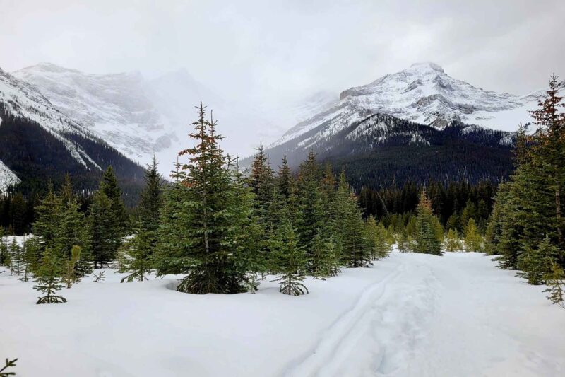 13 Outdoorsy Things To Do in Banff, Canada
