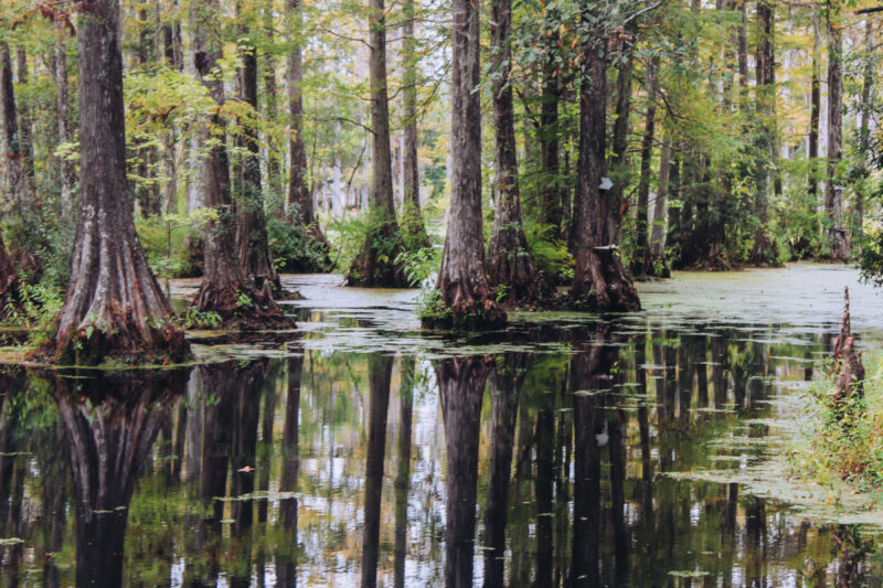 10 Reasons to Fall in Love With Berkeley County, South Carolina