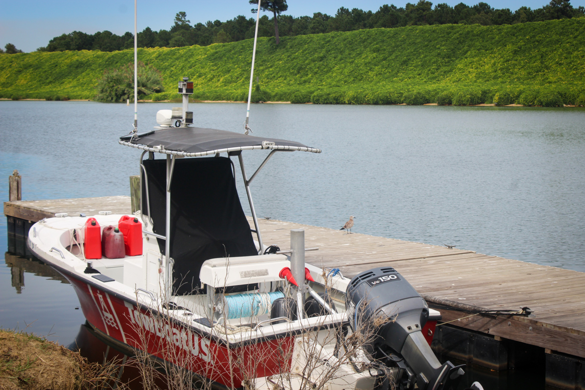 along the Santee Canal in Cross Berkeley County, SC