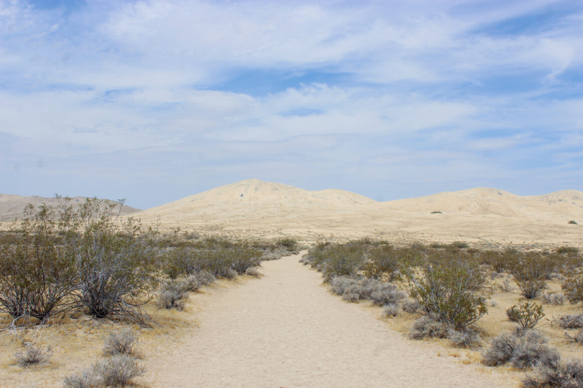 Kelso Sand Dunes in Mojave National Preserve one of the best day trips from Las vegas