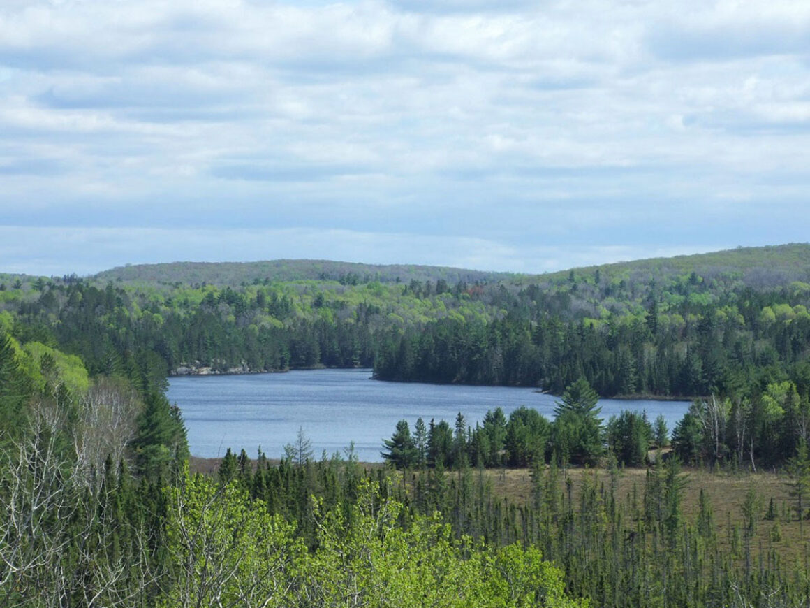a blue lake in Algonquin Provincial Park