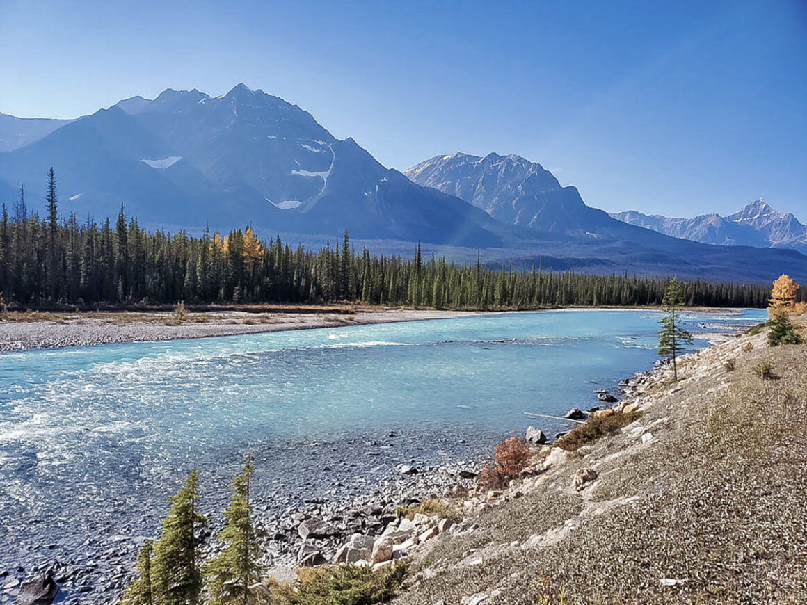 The vivid blue Athabasca River with the towering Canadian Rockies in the background