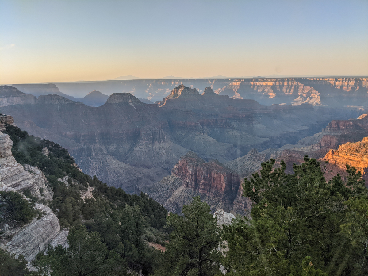 Green trees and the canyon at the north rim of the Grand Canyon