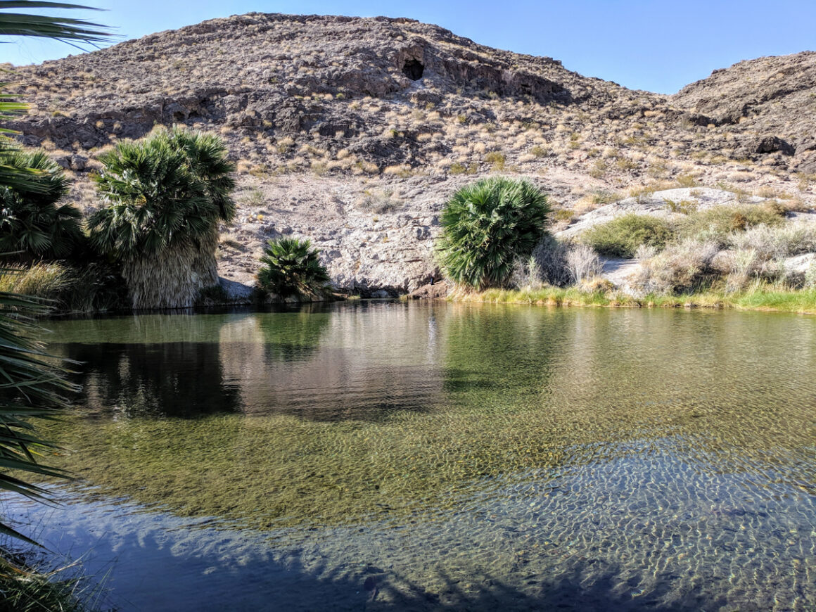 clear water and hot springs at Lake Mead National Recreation Area