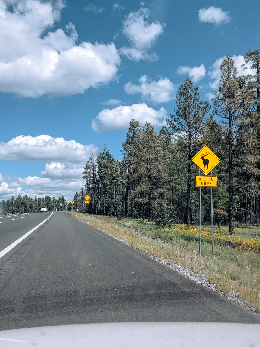 A bright yellow sign that says elk crossing next 10 miles