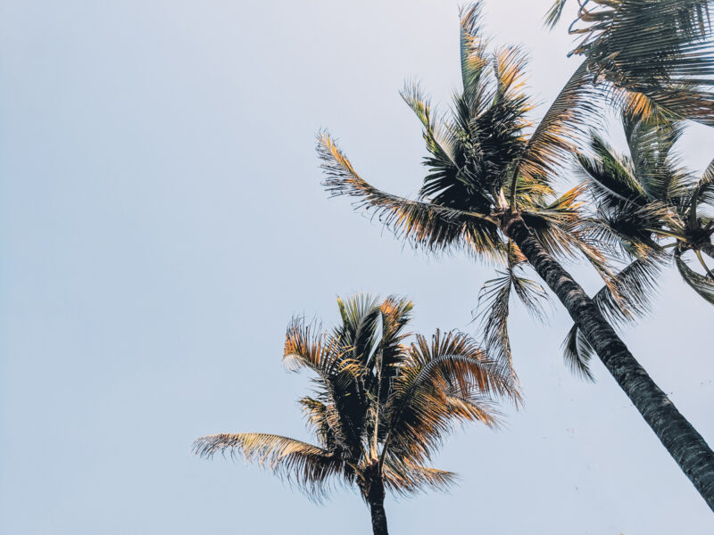 25+ of the Best Places To Visit in Mexico